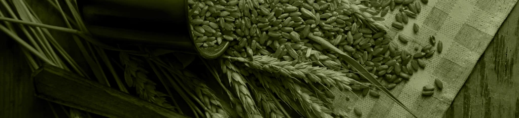 Grains and Flour