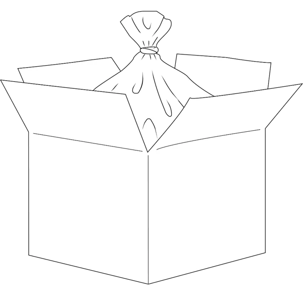 Bag In Box
