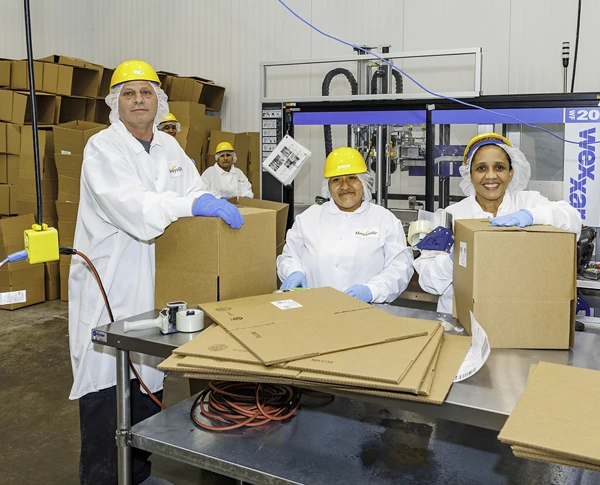 Employees folding boxes
