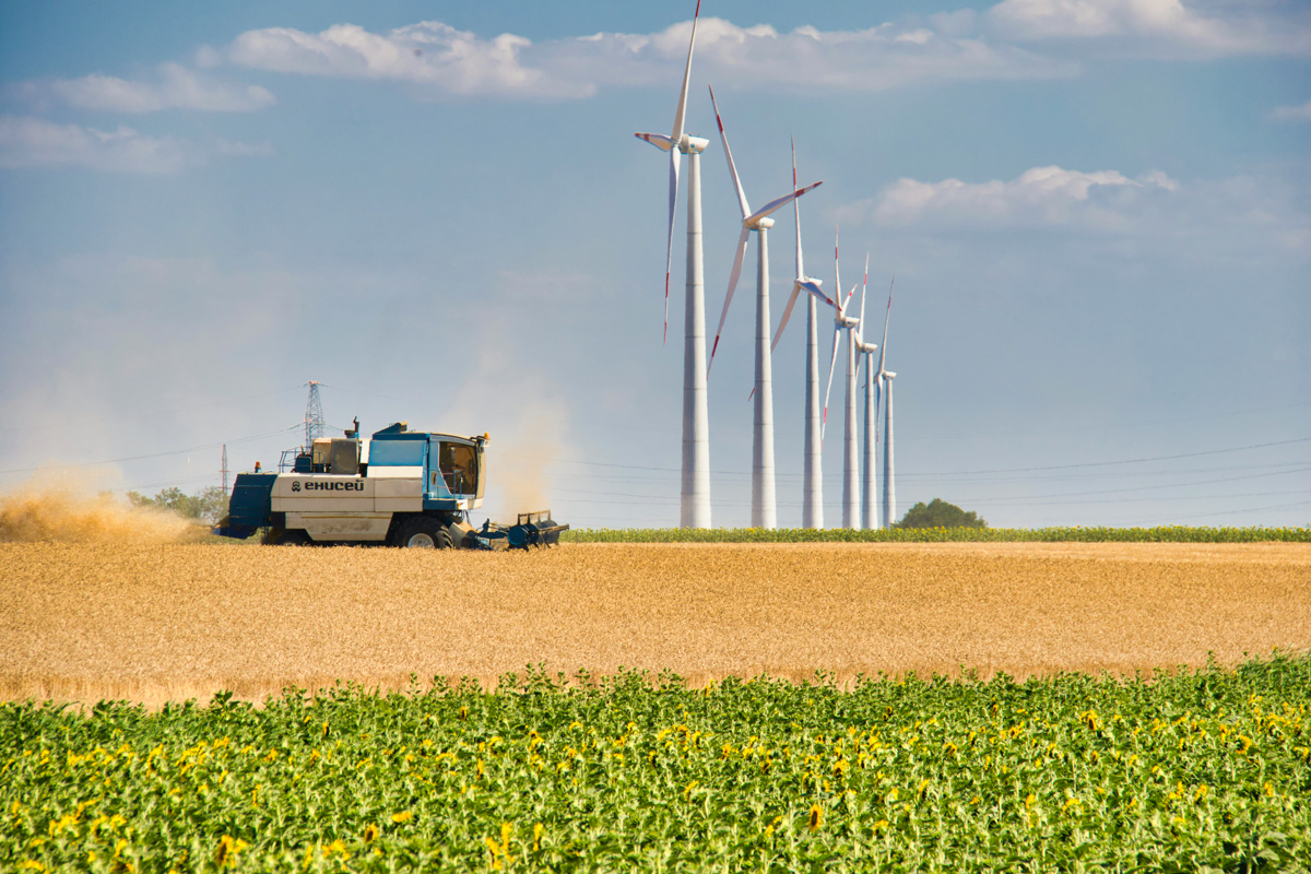 Tractor in field