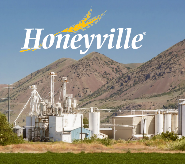 What We Do - Thumbnail