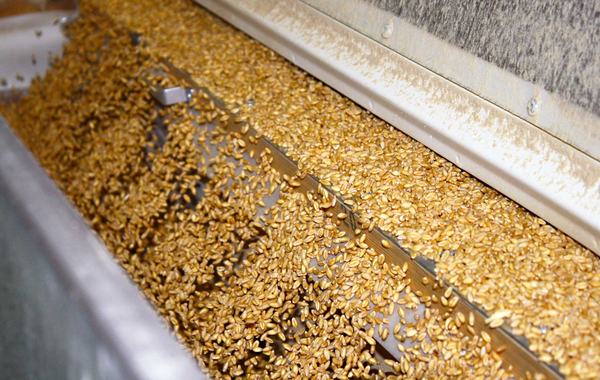 Wholesale Specialty Grain Milling
