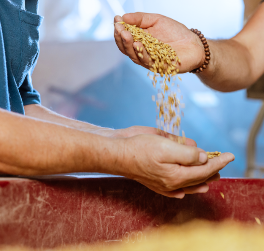 Co Manufacturing Packaging Retail Food Service Retail Food Service