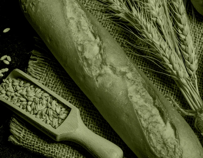 Wheat and bread